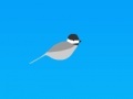 Jeu Trampoline chickadee