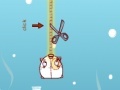 Jeu A pig in a poke