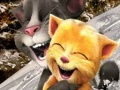 Jeu Talking Tom and Ginger Sledging