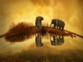 Jeu Thailand Elephant Slider