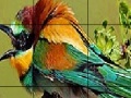 Jeu Two Amazing Bird Puzzle