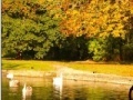 Jeu Jigsaw: Autumn Pond
