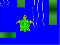 Jeu Terry the Turtle