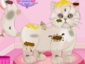 Jeu Persian cat princess spa salon