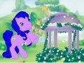 Jeu My Little Pony: Ponyville Forever