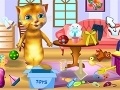 Jeu Ginger: Cleaning House