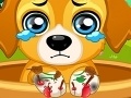 Jeu Paw Doctor