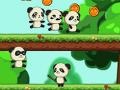 Jeu Panda Shock Troop 