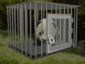 Jeu Baby Panda Escape 