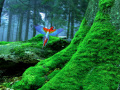 Jeu Birds Forest Escape