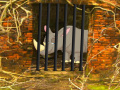 Jeu Rhino Escape