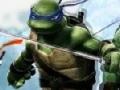 Game Ninja Turtle Double Dragons 