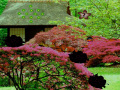 Jeu Seasonal Garden Escape