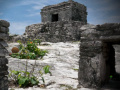 Jeu Mystery of Mayan Stone Escape