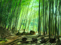Jeu Bamboo Forest Monkey Escape