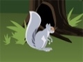 Jeu Squirrel