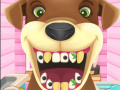 Game Animal Dentist 