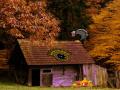 Jeu Mysterious Turkey Forest Escape 