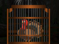 Jeu Thanksgiving Turkey Cage Escape