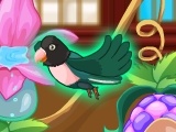 Jeu My Sweet Bird