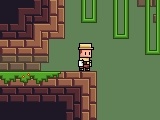 Jeu Pixel Quest The Lost Idols