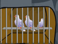 Jeu Forest Dove Escape