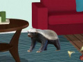 Jeu Little Badger Room Escape