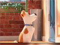 Game Hidden Letters in The Secret Life of Pets