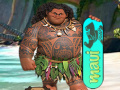 Jeu Maui Sandboard