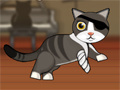 Jeu Pirate Cat With Broken Leg