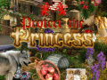 Game Protect the Princess