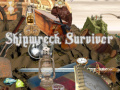 Game Shipwreck Survivor