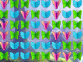 Jeu Butterfly Collector