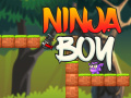 Game Ninja Boy