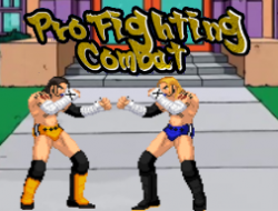 Jeu Combat de combat contre les pro
