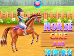 Jeu Soins des chevaux et équitation .