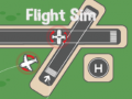 Jeu Flight Sim