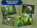 Game Jigsaw Puzzle Rain Forest 