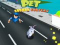 Game Pet Subway Surfers