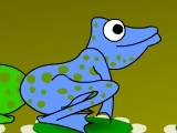 Jeu Frogs Logic