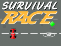 Jeu Survival Race