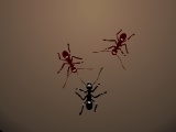 Jeu Ants Arena