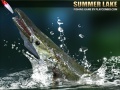 Game Summer Lake