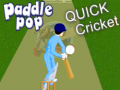 Jeu Paddle Pop Quick Cricket