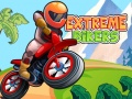Jeu Extreme Bikers