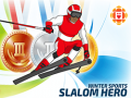 Game Winter Sports: Slalom Hero