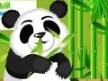 Jeu Panda Care