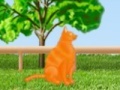 Jeu Combat cat