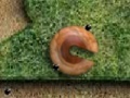Jeu Eggs Escape
