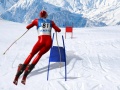 Jeu Slalom Ski Simulator